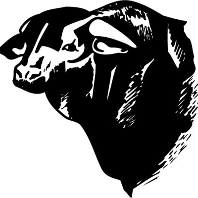 COW007 Thumbnail