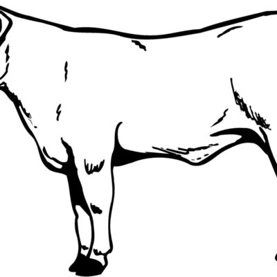 COW017 Thumbnail