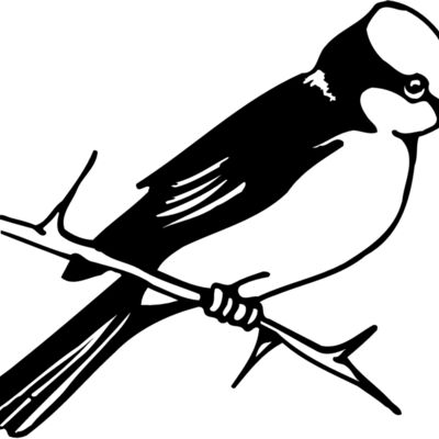 BIRD040 Thumbnail