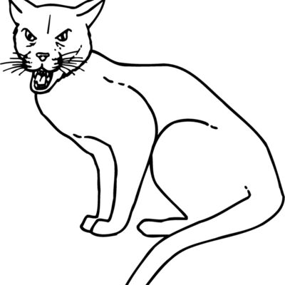 CAT21 Thumbnail