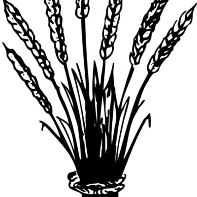 GRAIN008 Thumbnail