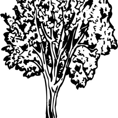 TREE0024 Thumbnail